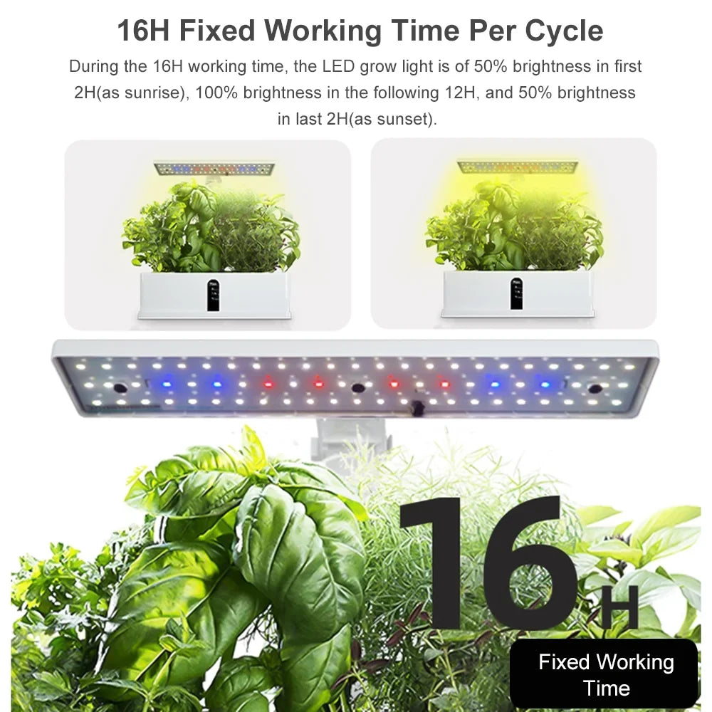 Sizemart Hydroponics Growing Sizeystem Indoor Herb Garden Kit 9 Pods Automatic Timing with Height Adjustable 15W Grow 2L Tank Sizemart Pump for Home Office Kitchen