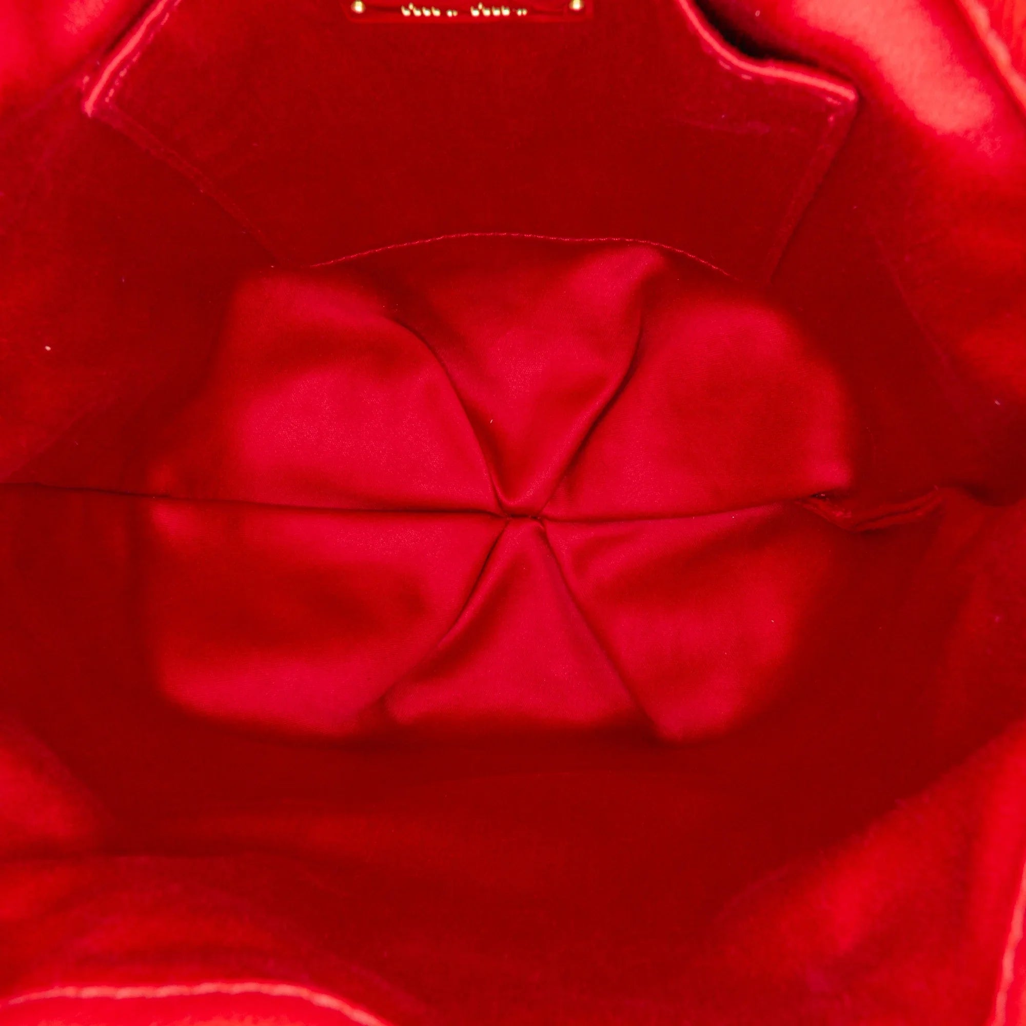 Pre-Owned Authenticated Miu Miu Tassel Accent Bucket Bag Calf Leather Red DrawstringBag Unisex (Good)