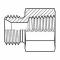 Adaptall Hose Adapter,1/2",BSizePP,1/2",NPT 9035-0808