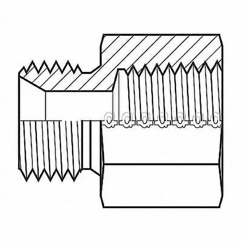 Adaptall Hose Adapter,1/2",BSizePP,1/2",NPT 9035-0808
