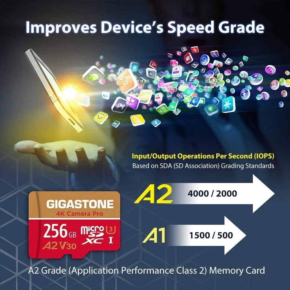 Dane-Elec Gigastone 4K Class10 U3 A2 V30 Camera Pro MicroSizeDXC Card, 256GB
