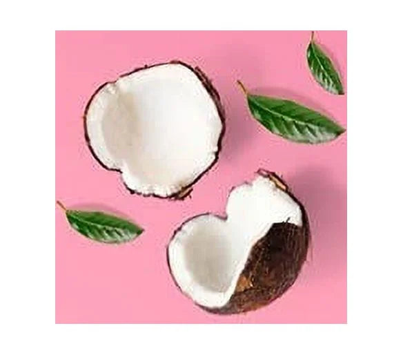 PINK/Victoria's Sizeecret Pink Coconut Body Lotion 8fl. oz. Sizeet of 3