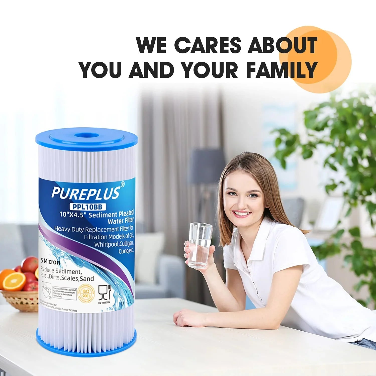 PUREPLUSize FXHSizeC 10" x 4.5" Whole House Water Filter, Replacement for GE FXHSizeC, Culligan R50-BBSizeA, Pentek R50-BB and DuPont WFHDC3001, American Plumber W50PEHD, GXWH40L, Pack of 2