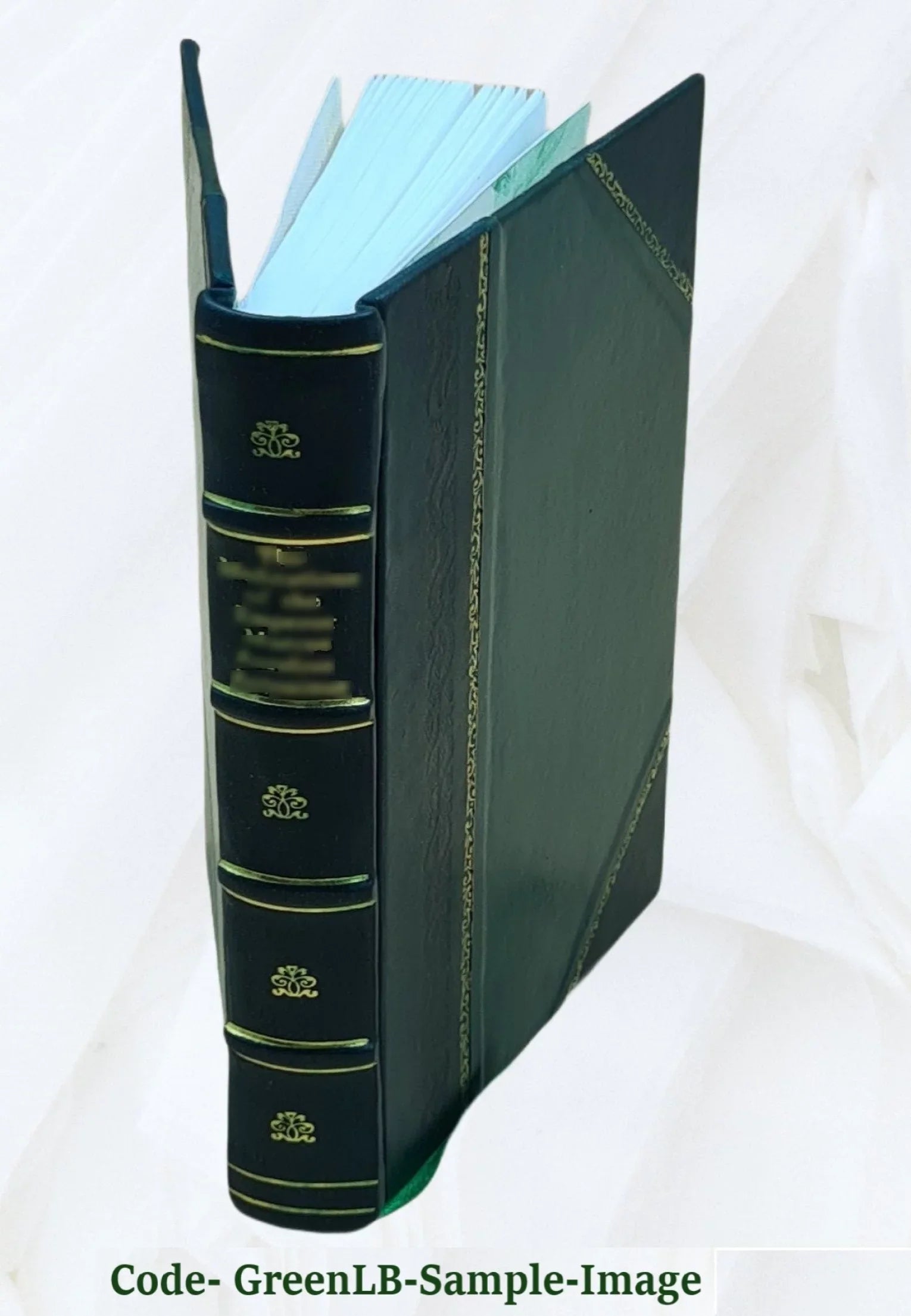 Introduction to sociology / by Arthur Fairbanks. 1901 [Leather Bound]