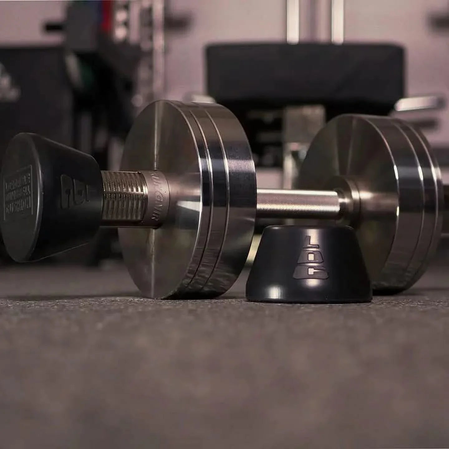 Loadable Dumbbell Pillows padded protection for weightlifting strength gain in gym or at home