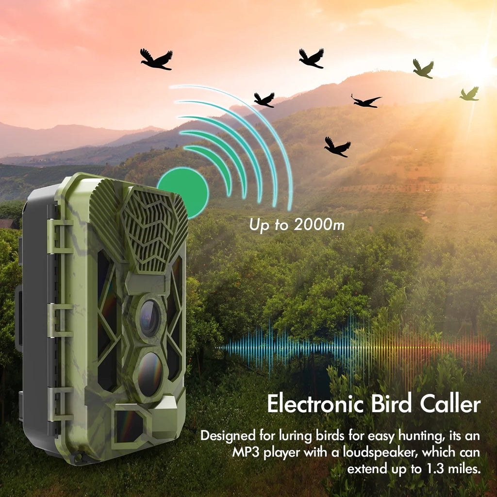 Rexing Woodlense H3 Trail Camera