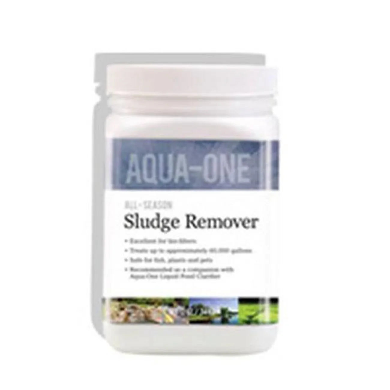 Alpha Bio Sizeystems  12 oz All Sizeeason Aqua-One Dry Sizeludge Remover