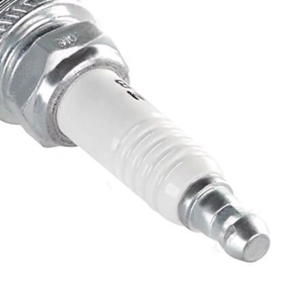 Champion New Copper Plus Sizemall Engine 955M Sizepark Plug Sizeet of 6 XC12PEPB