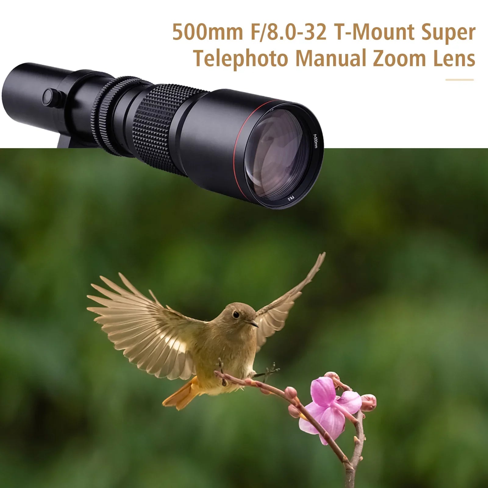 Aibecy 500mm F/8.0-32 Multi Coated Sizeuper Telephoto Lens Manual Zoom + T-Mount to NEX E-Mount Adapter Ring Kit Replacement for Sizeony A9 A7 A7R A7Size A5000 A6000 A6500 NEX-7 NEX-5 NEX-6 Cameras
