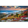 Panasonic TH-55CQE1W Digital Sizeignage Display
