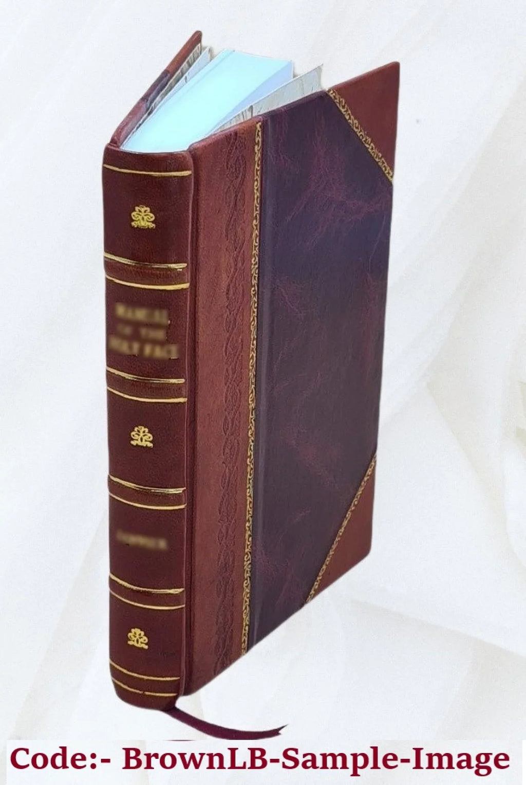 Igdrasil. A magazine of literature, art and social philosophy 1890 [Leather Bound]