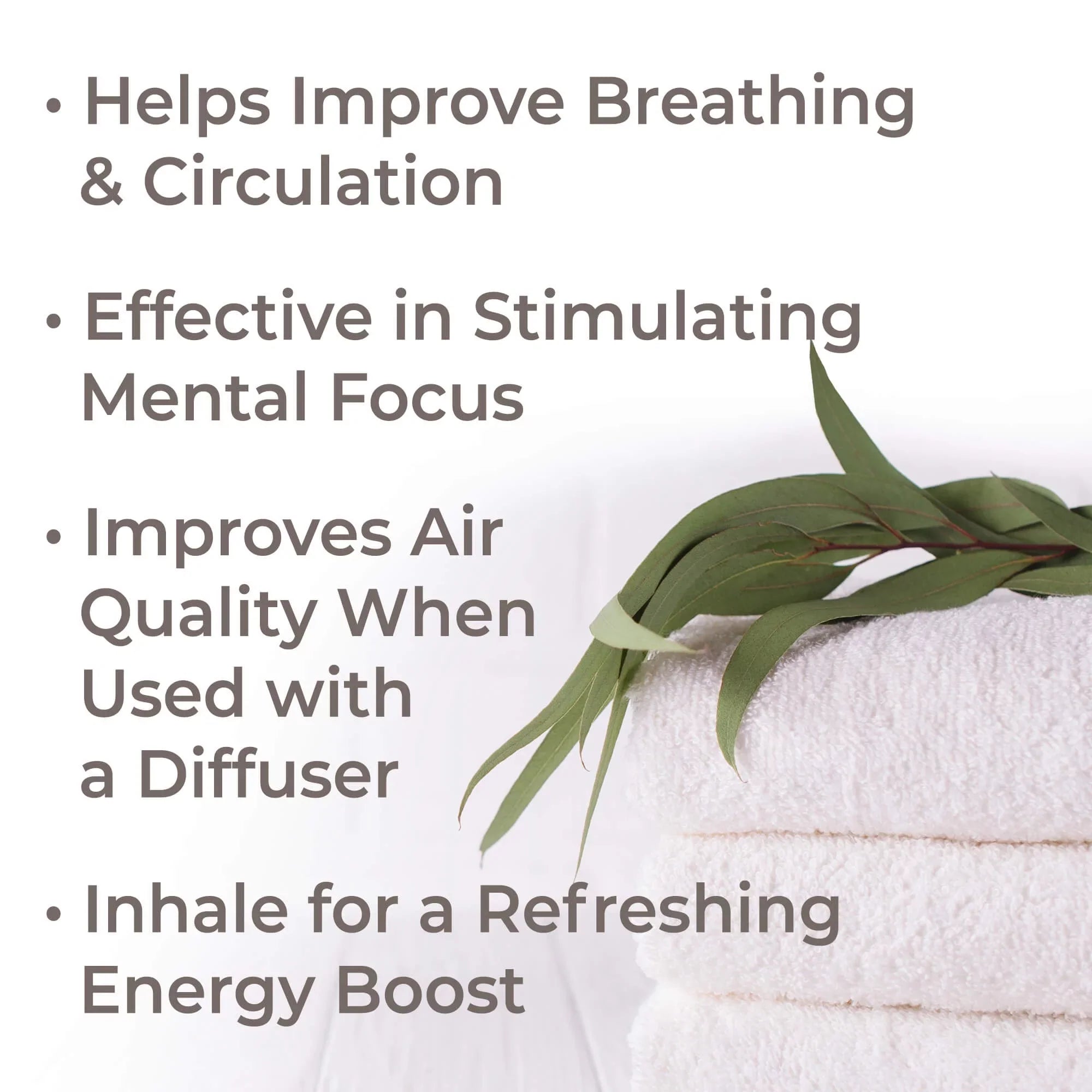 Plant Therapy Organic Eucalyptus Globulus Essential Oil 100 mL (1/3 oz)