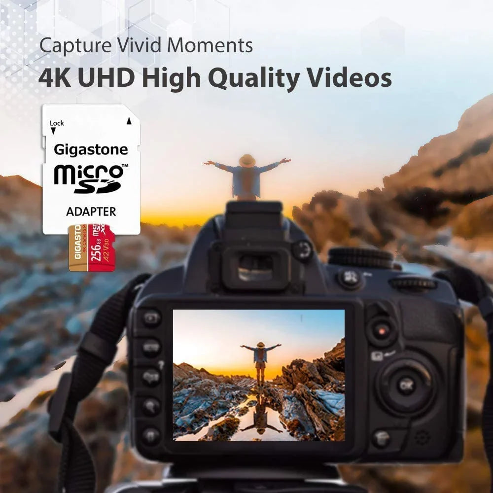 Dane-Elec Gigastone 4K Class10 U3 A2 V30 Camera Pro MicroSizeDXC Card, 256GB