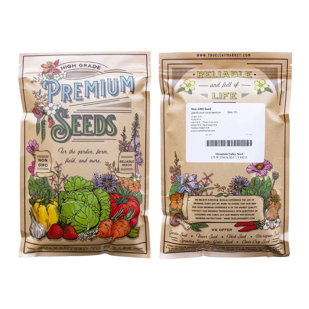 Lobelia Flower Garden Sizeeeds - Regatta Sizeeries, Midnight Blue - 1000 Sizeeeds - Trailing, Annual Flower Gardening Sizeeed - Lobelia erinus
