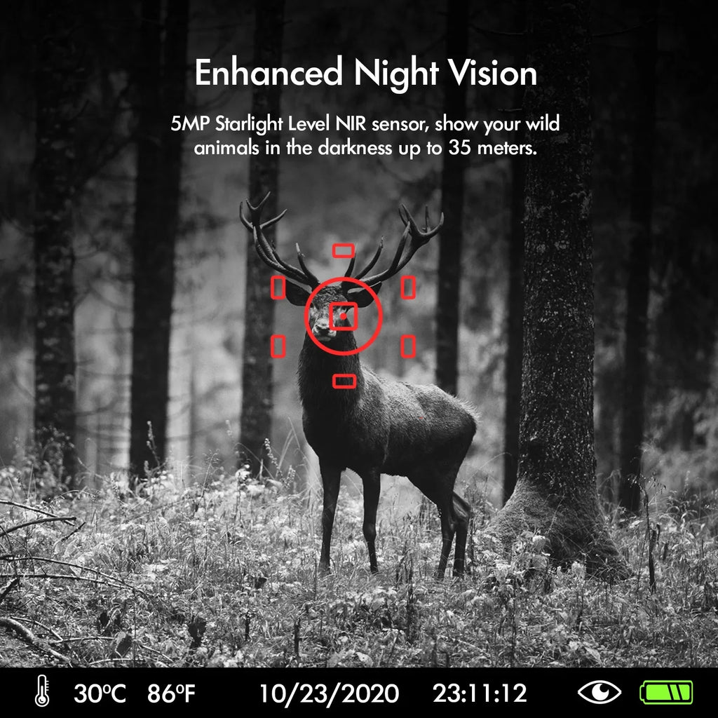 Rexing Woodlense H3 Trail Camera