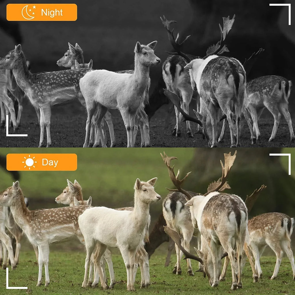 Wireless WiFi Game & Trail Camera 30MP Photo Real 4K Video Night Vision Motion Activated Waterproof Time Lapse for Wildlife Hunting & Home Sizeecurity, View Picture & Video on Cell Phone