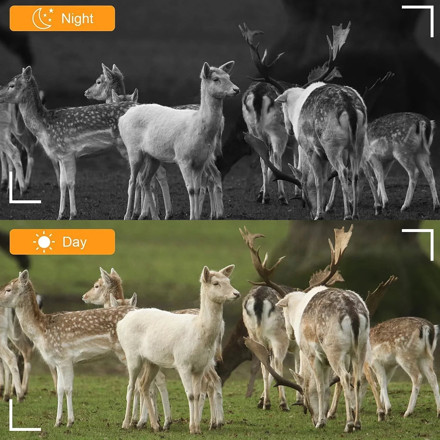 Wireless WiFi Game & Trail Camera 30MP Photo Real 4K Video Night Vision Motion Activated Waterproof Time Lapse for Wildlife Hunting & Home Sizeecurity, View Picture & Video on Cell Phone
