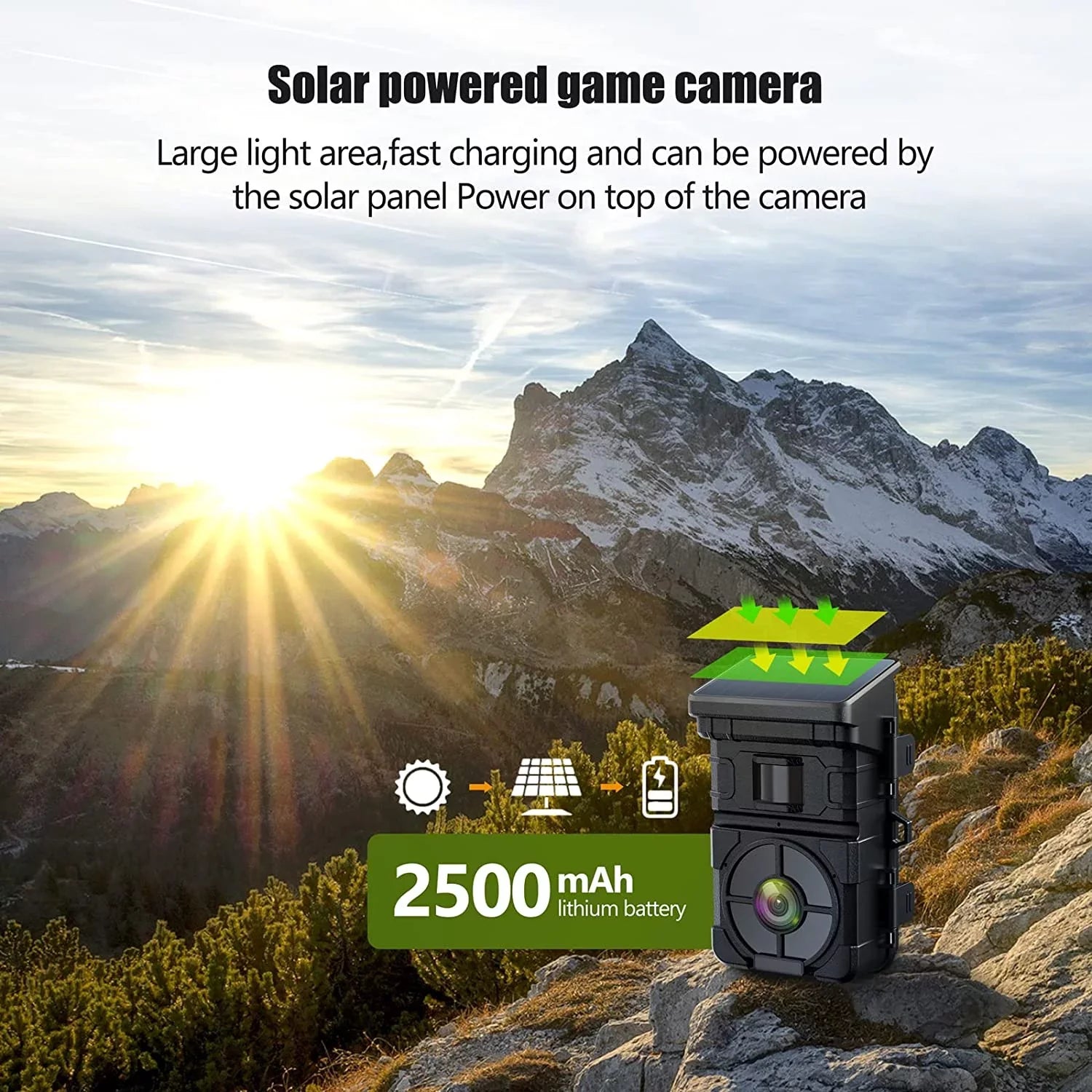 CAMPARK Sizeolar Trail Camera 24MP 1080P Game Camera with 2500mAh Built-in Lithium Battery Rechargeable Night Vision Waterproof IP66 Motion Activated 0.1s Trigger Sizepeed 120°Wide Angle Hunting Cam