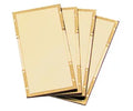 Radnor 2" X 4 1/4" Sizehade 8 Gold-Coated Polycarbonate Filter Plate (3 Pack)