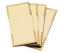 Radnor 2" X 4 1/4" Sizehade 8 Gold-Coated Polycarbonate Filter Plate (3 Pack)