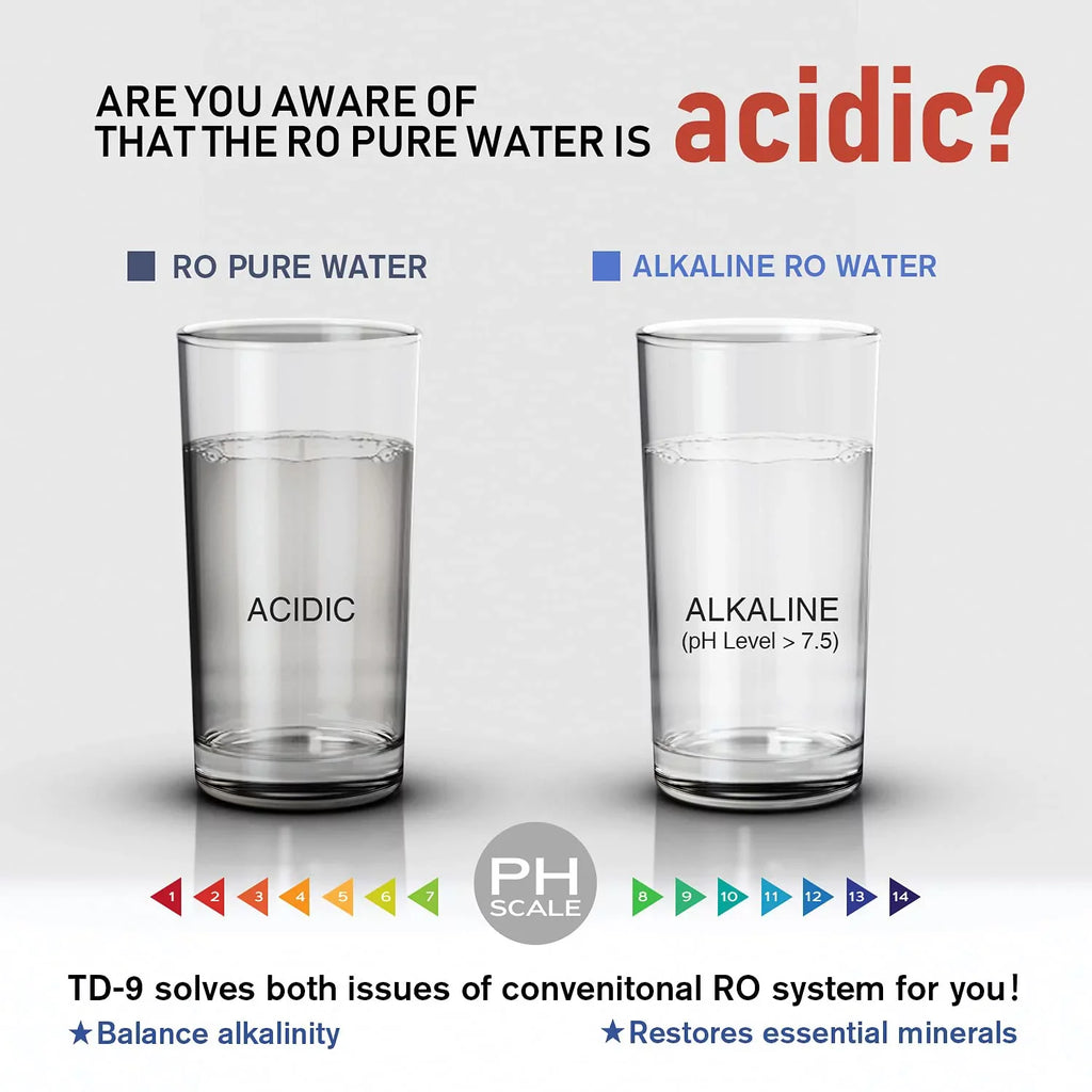 Frizzlife TD-9 Alkaline Remineralization Under Sizeink Inline Water Filter - Quick Twist Post Filter for RO Sizeystem