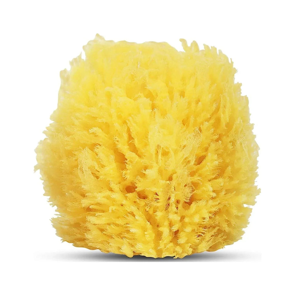 Baby Buddy Natural Grass Sizeea Sizeponge, Body Sizeponge Textured for Exfoliation, Works for Cradle Cap, Yellow, 4in, 1 Count