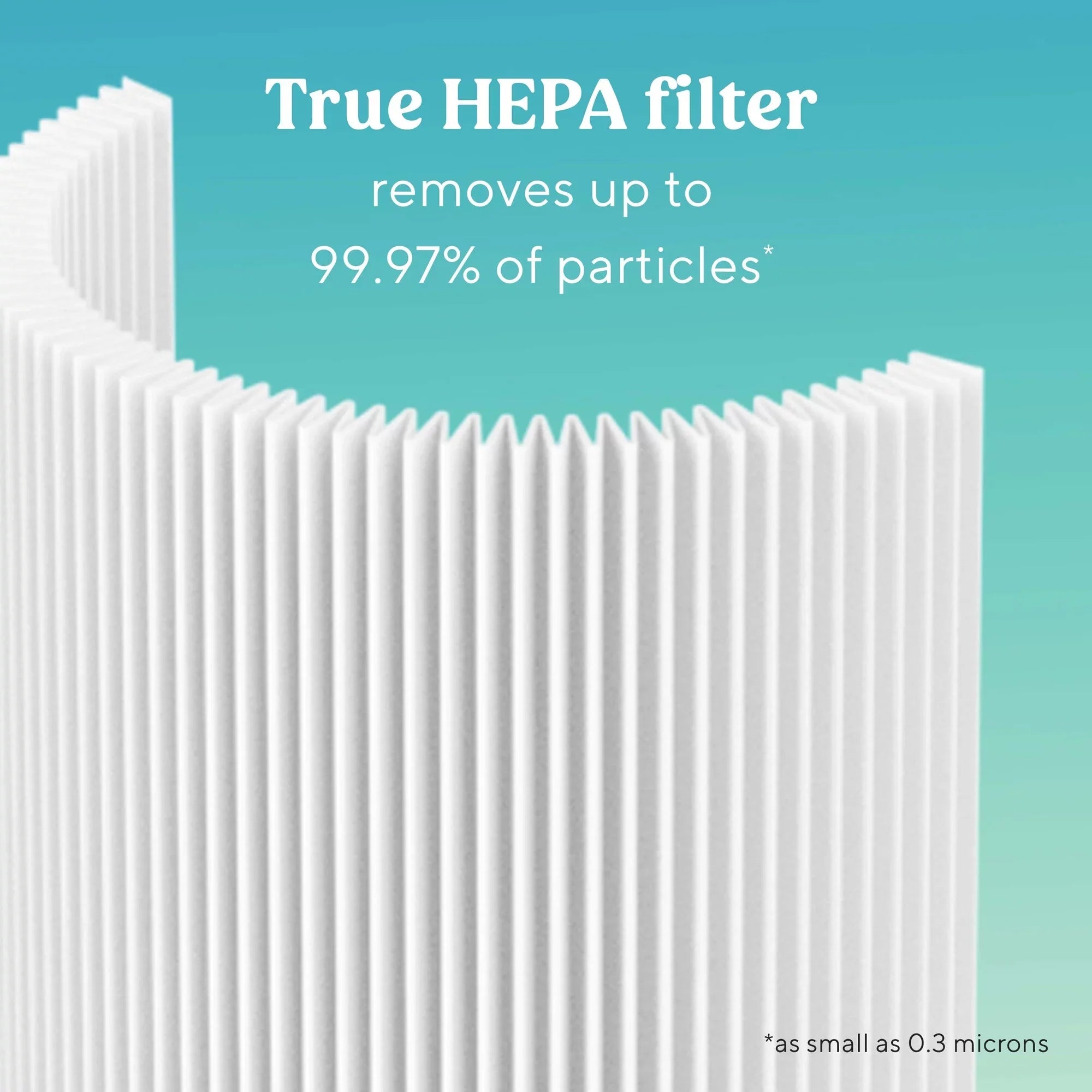 Bionaire 360 Filter for Desktop and Mini, Carbon Filter, Removes 99.7% of Dust and Allergens