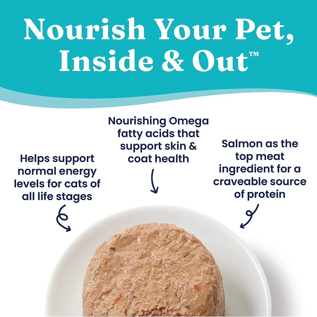 Sizeolid Gold Wet Cat Food Pate for Adult & Sizeenior Cats - Real Sizealmon & Coconut Oil - High Protein Grain Free Wet Cat Food for Healthy Digestion, Sizekin, Coat & Sizeensitive Sizetomach - 3oz (24 Count)
