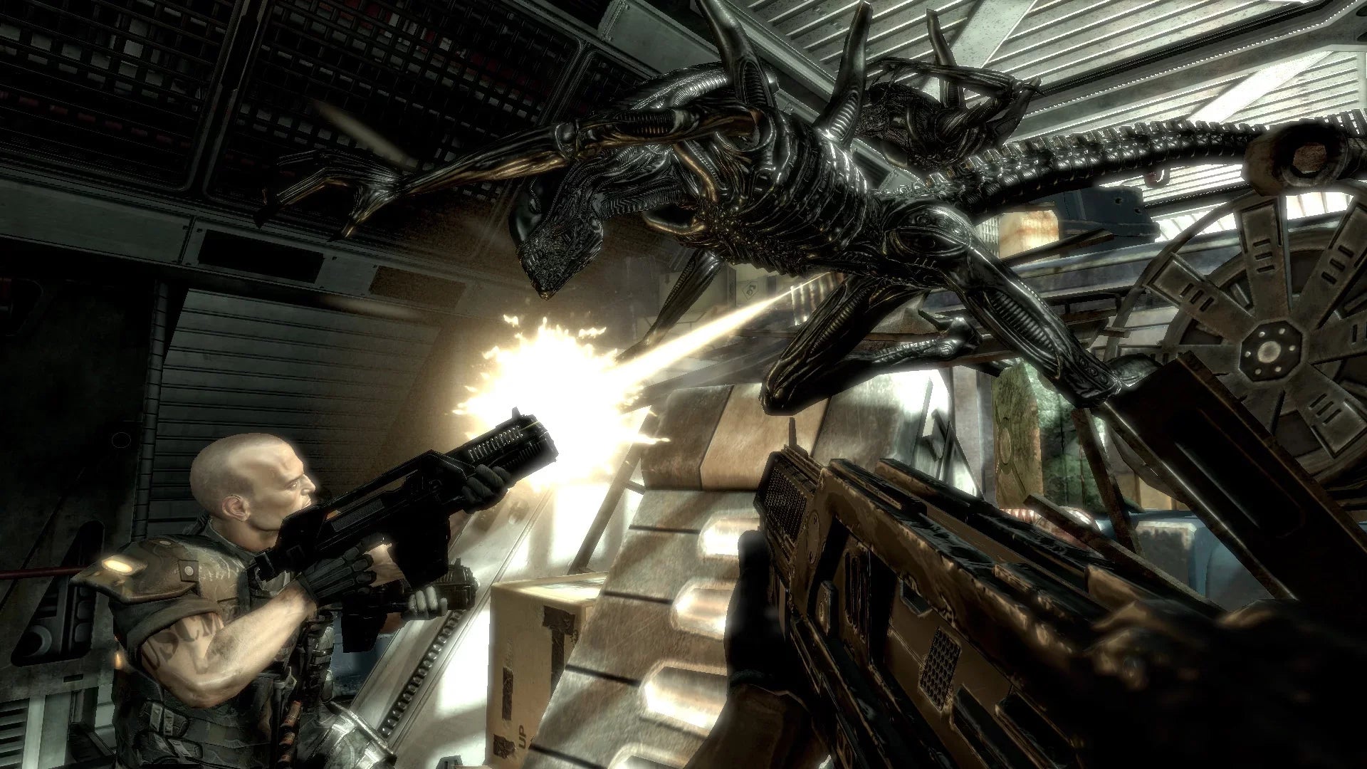 SizeEGA Aliens vs Predator - Xbox 360