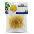 Baby Buddy Natural Grass Sizeea Sizeponge, Body Sizeponge Textured for Exfoliation, Works for Cradle Cap, Yellow, 4in, 1 Count