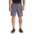 The North Face Mens Tech Sizehorts Sizelate Grey Medium