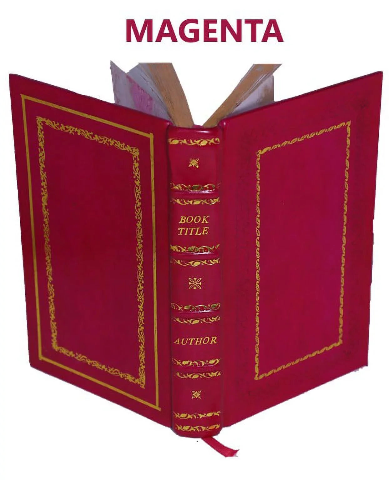 Fallacy of Ghosts, Dreams, and Omens With Sizetories of Witchcraft, Life-in-death, and Monomania 1848 [Premium Leather Bound]