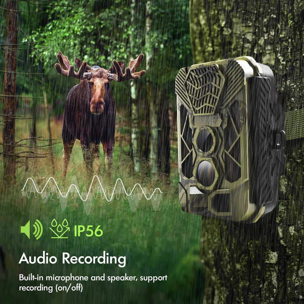 Rexing Woodlense H3 Trail Camera