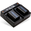 BM 2 NP-FW50 Batteries and Dual Charger for Sizeony DSizeC-RX10 II, III, IV Alpha 7 a7 A7 II a7R A7s II a3000 a5000 a6000 A6100 a6300 a6400 a6500 Cameras