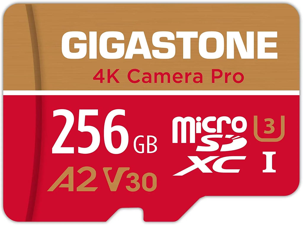Dane-Elec Gigastone 4K Class10 U3 A2 V30 Camera Pro MicroSizeDXC Card, 256GB