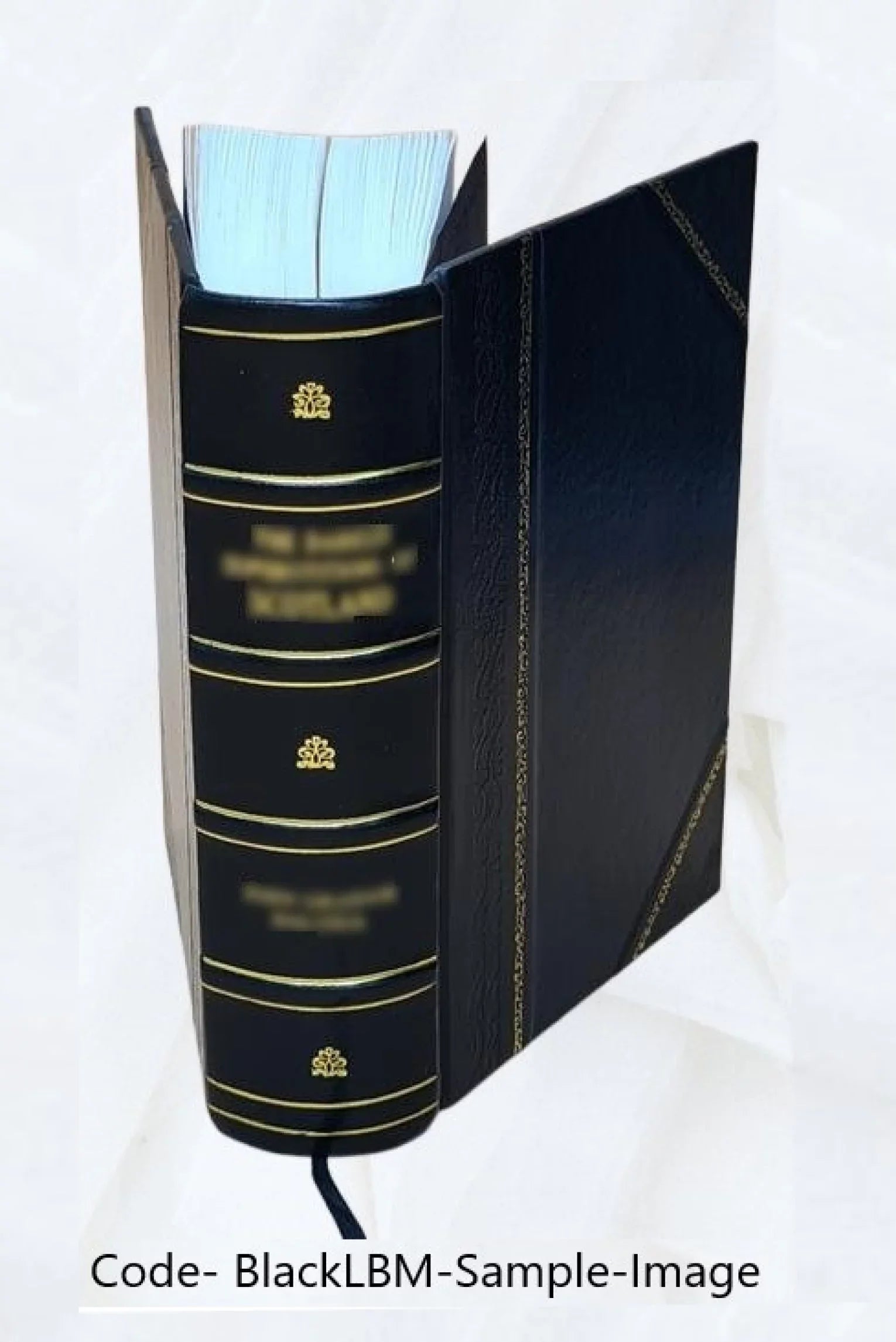 Chroniques de Genève Volume 2 2001 [Leather Bound]