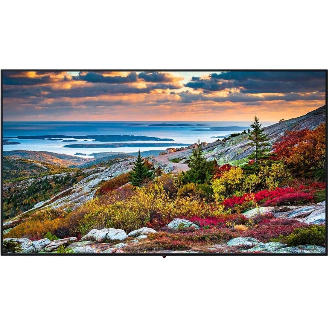Panasonic TH-55CQE1W Digital Sizeignage Display